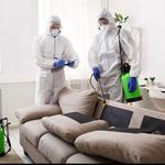 AYM Pest Control - photo 4