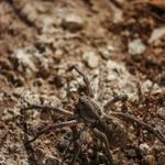 AYM Pest Control - photo 5