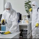 AYM Pest Control - photo 6