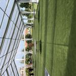 Beyond Elegance Party Rentals - photo 2