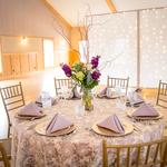 Beyond Elegance Party Rentals - photo 4
