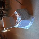 Beyond Elegance Party Rentals - photo 8