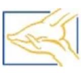 Beaver Valley Foot Clinic - Professional Services in Coraopolis