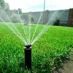 Miles Creek Irrigation and Lighting - photo 2