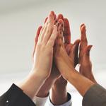 Lady Bossalliance - photo 5