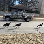 Camo Crew Responsible Junk Removal - photo 2