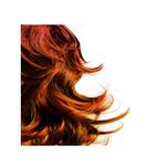 All Day Barbershop - photo 3