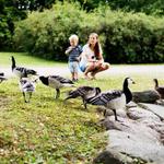 Seaside Pest Control Inc. - photo 4