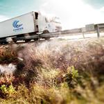 Chess Moving - photo 1