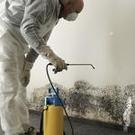 Brio Flood Restoration Canberra - photo 1