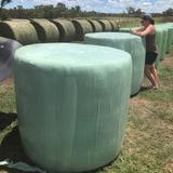 Net Wrap - Packing Supplies in Regency Park