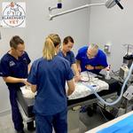 Blakehurst Vet - photo 2