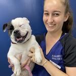 Blakehurst Vet - photo 4