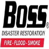 Boss Disaster Restoration Inc. - Home Services in Mount Pleasant
