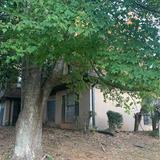 DJM Diamond Realty Inc. - Real Estate Agents in Stonecrest