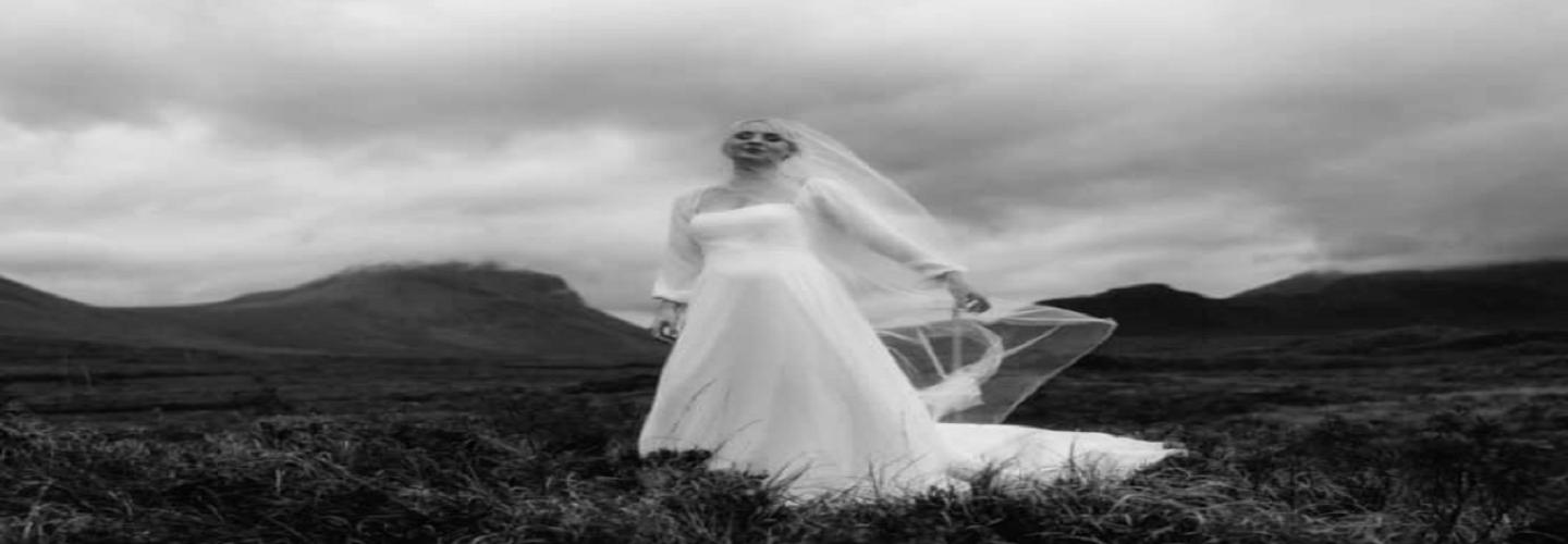 David Conaty Photography cover photo