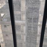 Np birdnet - photo 1