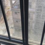 Np birdnet - photo 2