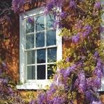 IDL Windows - photo 3