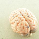 The Neurological Care Center of Montgomery - Neurologist in Montgomery