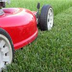 EcoScapes Lawn and Landscape - photo 2