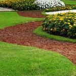 EcoScapes Lawn and Landscape - photo 7