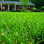 EcoScapes Lawn and Landscape - photo 8