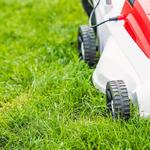 EcoScapes Lawn and Landscape - photo 10