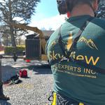 SkyView Tree Experts - photo 2