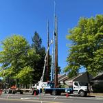 SkyView Tree Experts - photo 3