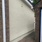 Daffodil Decor - photo 5