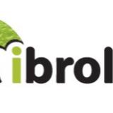 iBrolly Promotional Umbrellas - Printing Services in Cardiff