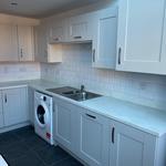 Daffodil Tiling - photo 4