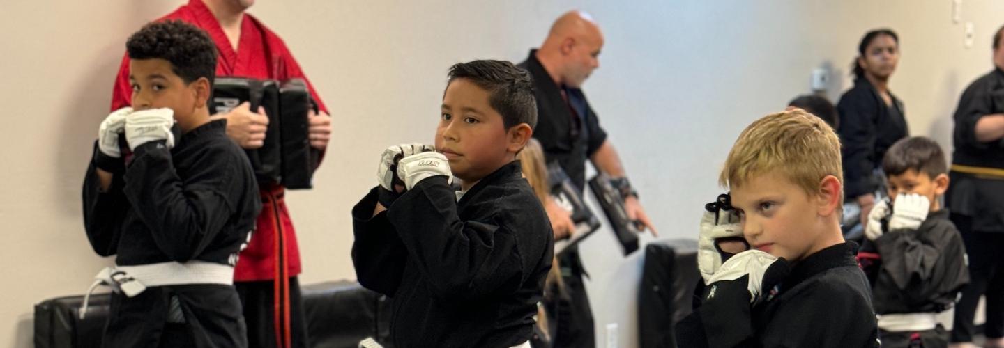 Action Karate Skippack cover photo