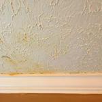 Bio-One of DC - photo 2