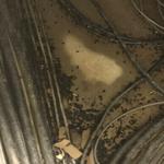 Bio-One of DC - photo 6