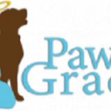 Paws Into Grace - Pet Day Care in Escondido