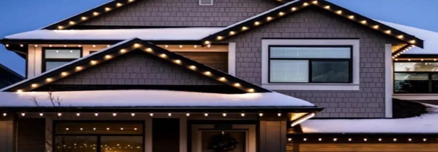 Hotdog Holiday Lighting cover photo