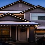 Hotdog Holiday Lighting - photo 1