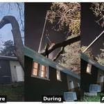 Titletown Emergency Tree Pros - photo 2