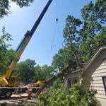 Titletown Emergency Tree Pros - photo 3