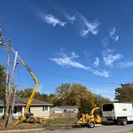 Green Tree Care & Habitat Restoration, LLC - photo 1