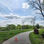 Green Tree Care & Habitat Restoration, LLC - photo 2