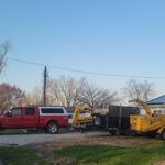 Green Tree Care & Habitat Restoration, LLC - photo 3