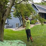 Green Tree Care & Habitat Restoration, LLC - photo 7