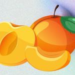 Sanket Dryfruits - photo 1