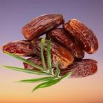 Sanket Dryfruits - photo 3