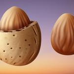 Sanket Dryfruits - photo 5