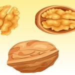 Sanket Dryfruits - photo 7