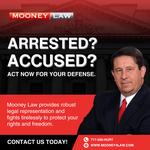Mooney Law - photo 6